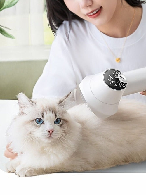 Cat Essentials